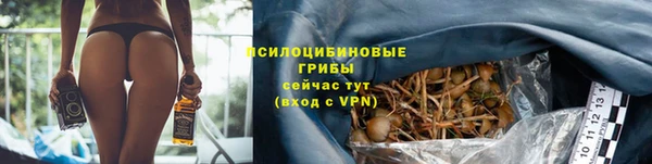 MDMA Premium VHQ Каменка